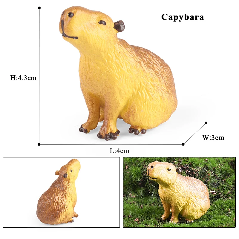 Oenux simulation New Wild Animals Figurines Capybara Hydrochoerus hydrochaeris Model Action figures Kids Education Gift Toy - Image 2