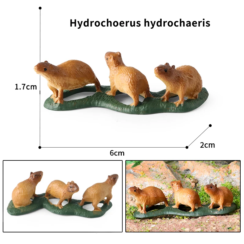 Oenux simulation New Wild Animals Figurines Capybara Hydrochoerus hydrochaeris Model Action figures Kids Education Gift Toy - Image 4