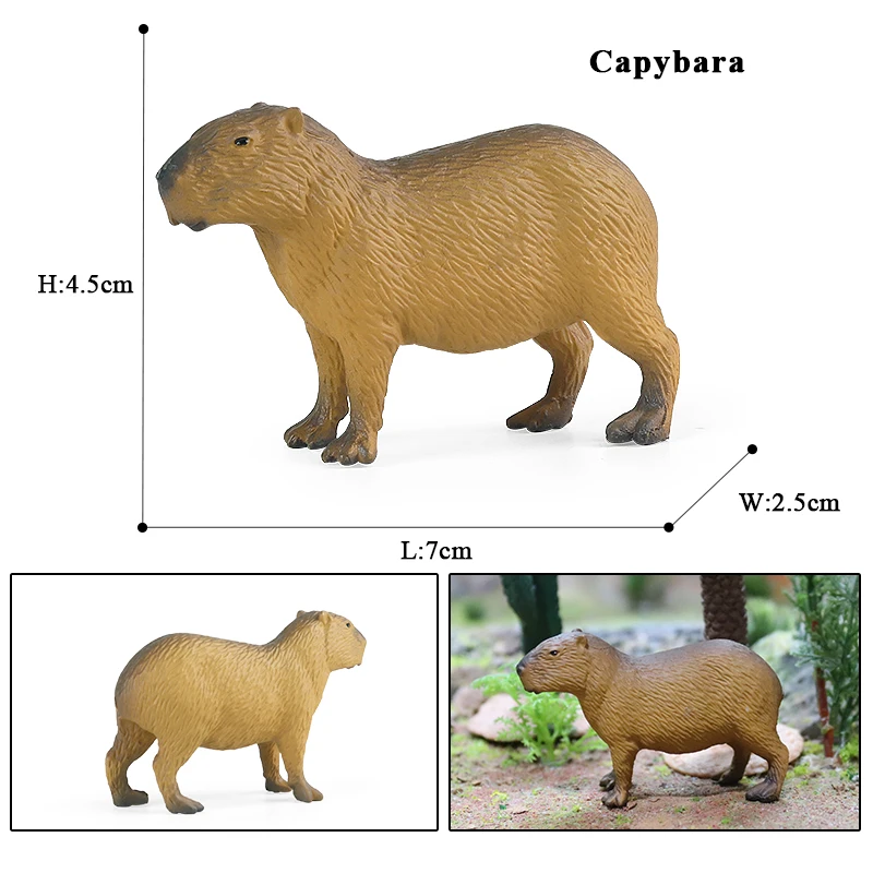 Oenux simulation New Wild Animals Figurines Capybara Hydrochoerus hydrochaeris Model Action figures Kids Education Gift Toy - Image 3