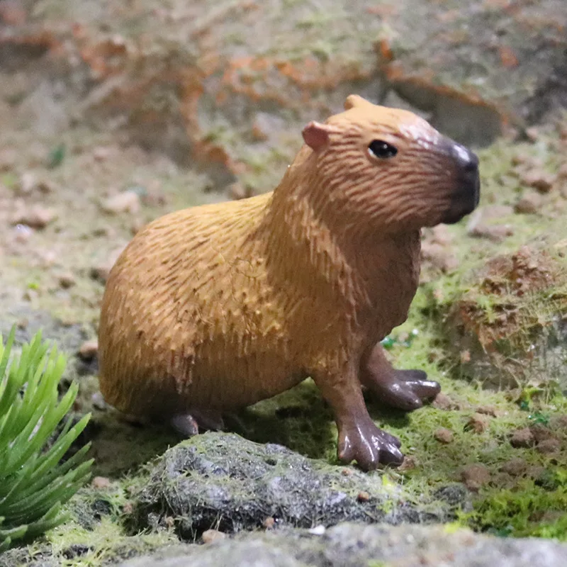 Oenux simulation New Wild Animals Figurines Capybara Hydrochoerus hydrochaeris Model Action figures Kids Education Gift Toy - Image 5