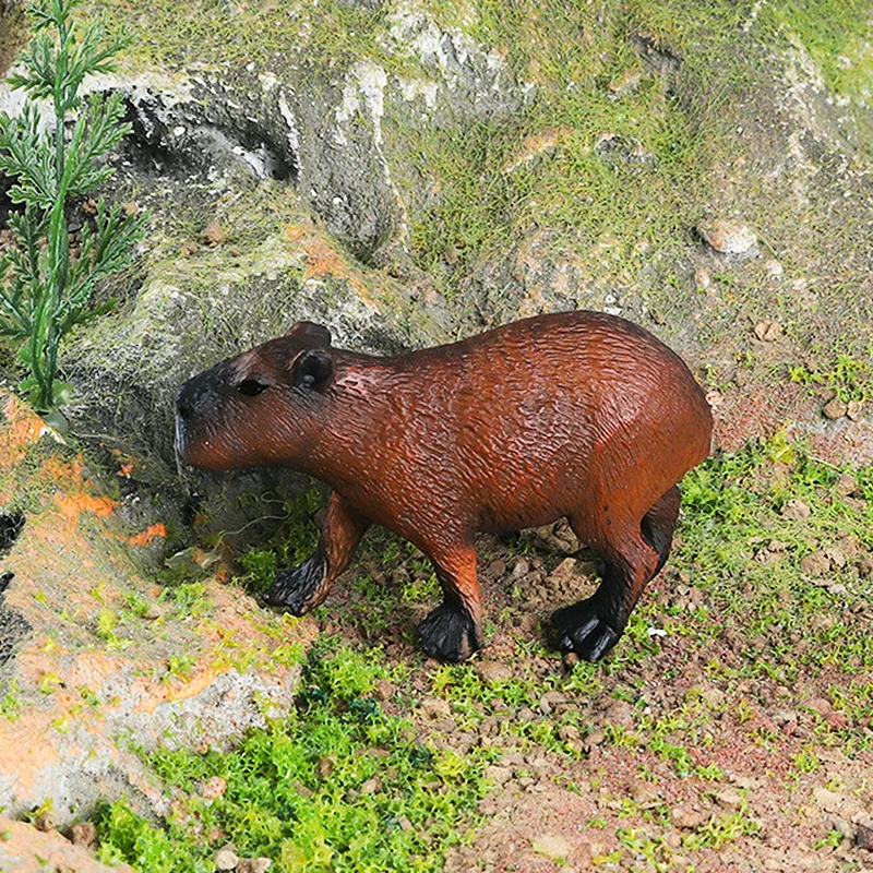 Oenux simulation New Wild Animals Figurines Capybara Hydrochoerus hydrochaeris Model Action figures Kids Education Gift Toy - Image 6