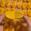 Squishy Cheese Cake Bread Squeeze Toys Stress Relief Slow Rising Sensory Fidget Toys for Kids and Adults Soft Squeeze Toys