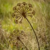 1pc Rustic Metal Garden Stake - Intricate Flower Design, Patina Finish, Outdoor Decor for Garden, Patio, Balcony, or Flower Pot