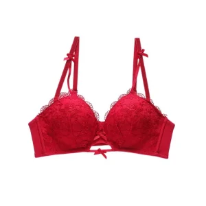 Sweet Breathable Lace Flower Bra Bowknot Thin Push Up Bra Intimates Adjustable Underwear for Women Gifts