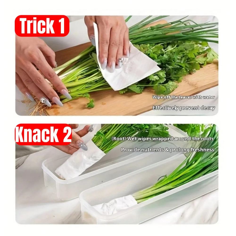 1/2/4Pcs Refrigerator Storage Boxes With Lid Plastic Fresh Keeping Box Kitchen Scallions Cilantro Eggs Noodles Sealed Container - Image 5