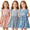 2026 Summer Kids Floral Holiday Dress for Girls Dresses Toddler Baby 1 to 2 3 4 5 6 7 8 9 10 11 12 13 14 15 16 Years Korea Dress