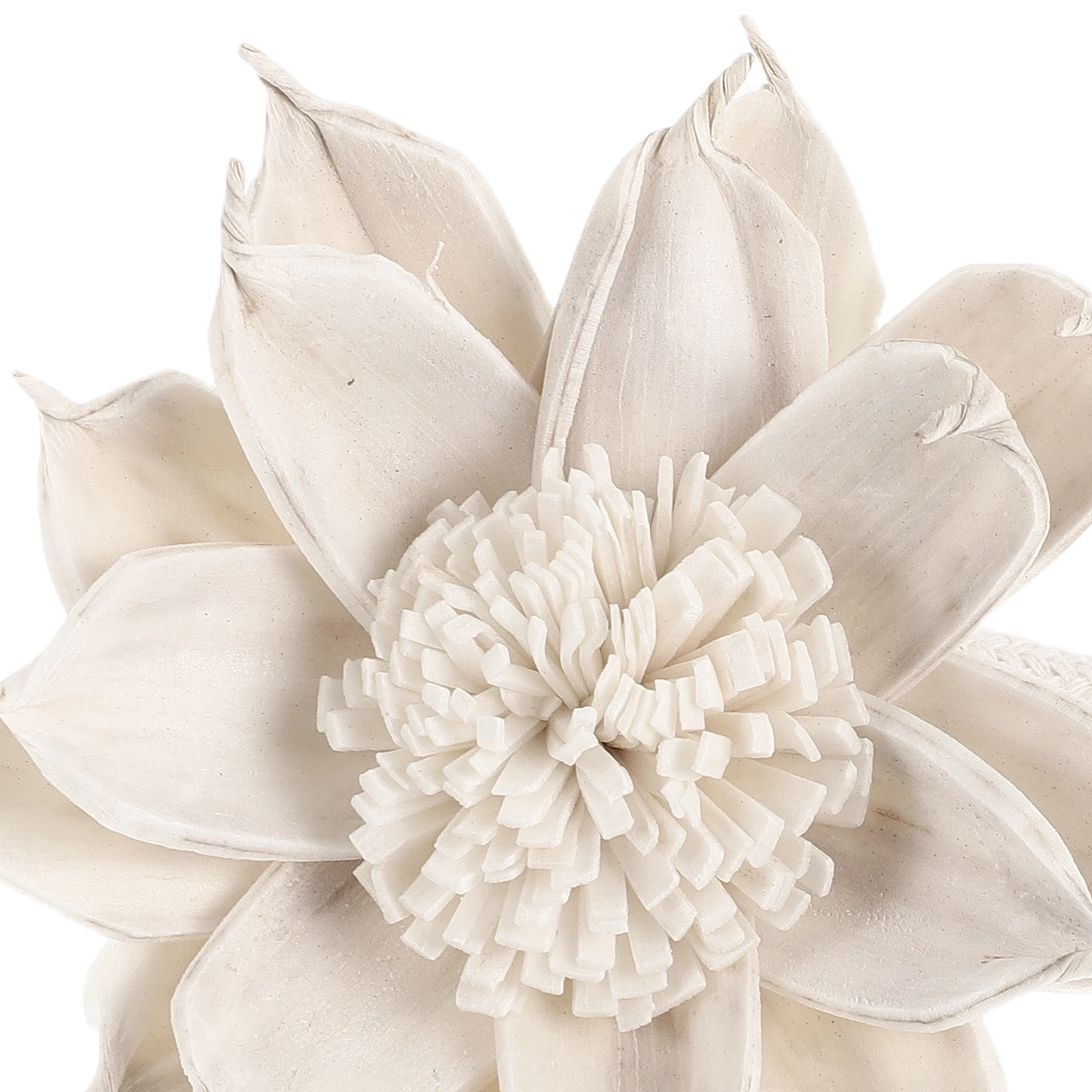 2Pcs Floral Aroma Diffuser Sticks Gardenia Scent Dried Sola Flowers Natural Home Decor Aromatherapy Essential Oil Diffuser - Image 6