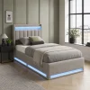 LED Bed Frame 90x190cm, Ottoman Bed Frame with Hydraulic Storage, Storage Bed with Charging Station, Single Bed Frame with Headboard and Wooden Slats, Velvet, No Mattress
