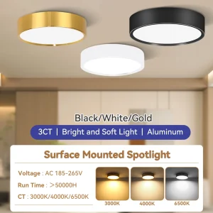 Led Spot Light Ceiling 10W 15W 25W Surface Mounted Ceiling Lamp Ultra Thin Ceiling Lights for Living Room Ceiling Lighting 220V