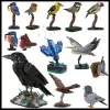 MOC Animal Bird Raven Kingfisher Feral Pigeon Model Building Blocks Set Robin Eagle Assembly Bricks Toys Birthday Xmas Gifts