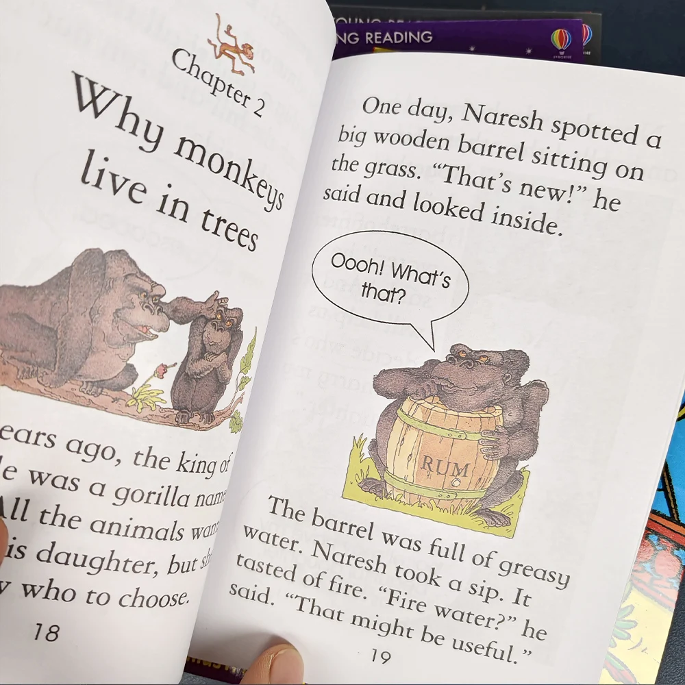 Random 10 Book The Usborne Reading Collection Stage 3 English Book Child Kids Word Sentence Fairy Tale Book In English - Image 4
