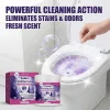 Toilet Bowl Cleaner Powder Stain Remover Bathroom Deodorizer Deep Cleaning Agent Protects Glaze Removes Urine Stains Easy 100g