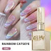 XEIJAYI 15ML Cat Eye Nail Polish Gel Phototherapeutic Gel Soak Off Nail Magnetic Gel Polish Nail Art DlY For Salon At Home