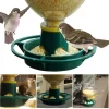 1 pcs Automatic Wild Bird Seeds Feed Forest Hanging cup Garden Feeding Bird Feeder Outdoor Indoor Pet Feeding Tools