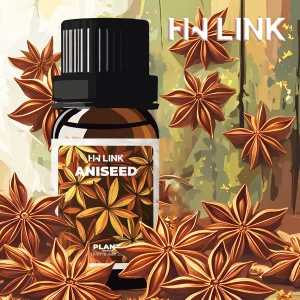 10ml Anise Essential Oil Natural Aroma For Diffuser, Candle Making Aromatherapy for Gifts