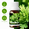 10ml Wormwood Pure Plant Essential Oil For Diffusers, DIY Projects, Candle Making, Gift for Friends, Aromatherapy