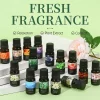 15 Scents Water Soluble Fragrance Oils - 10ml Aromatherapy Oil for Diffuser, Room Deodorizer, Air Freshener, Home & Car