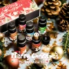 6PC/1PC Christmas Gift Christmas Decoration Christmas Fragrance Oils Happy New Year Reed Diffuser Oil Christmas Party