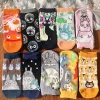 Anime Grey Cat Socks Kawii Jiji Kitten Casual Crew Socks Cartoon Howl Calcifer Short Sock Lovers Birthday Gifts For Women