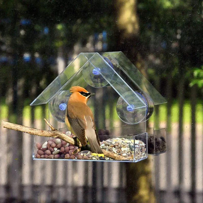 Bird Feeder Transparent House Type Feeding Cage With Suction Cup For Window Glass Hummingbird Outdoor Gazebo Bird Accessories - Image 5