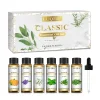 EUQEE 10ml Aromatic Essential Oil Lemongrass Lavender Eucalyptus Peppermint Tea Tree Sweet Orange Aromatherapy Oil for Diffuser