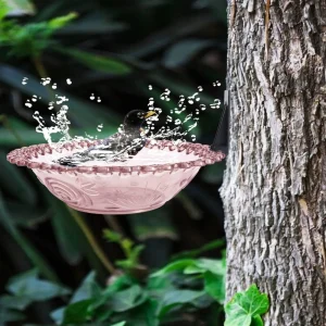 Hanging Bird Feeder Bath Double Functionality Feeder for Birds Plastic Bird Pool Outdoor Birds Bath for Railing Fence or Tree