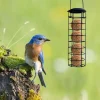 Hanging Wild Bird Feeder Dumplings Grease Ball Rack Outside Hanging Bird Feeders Bird Feeder Dumplings Grease BallRack Outdoor