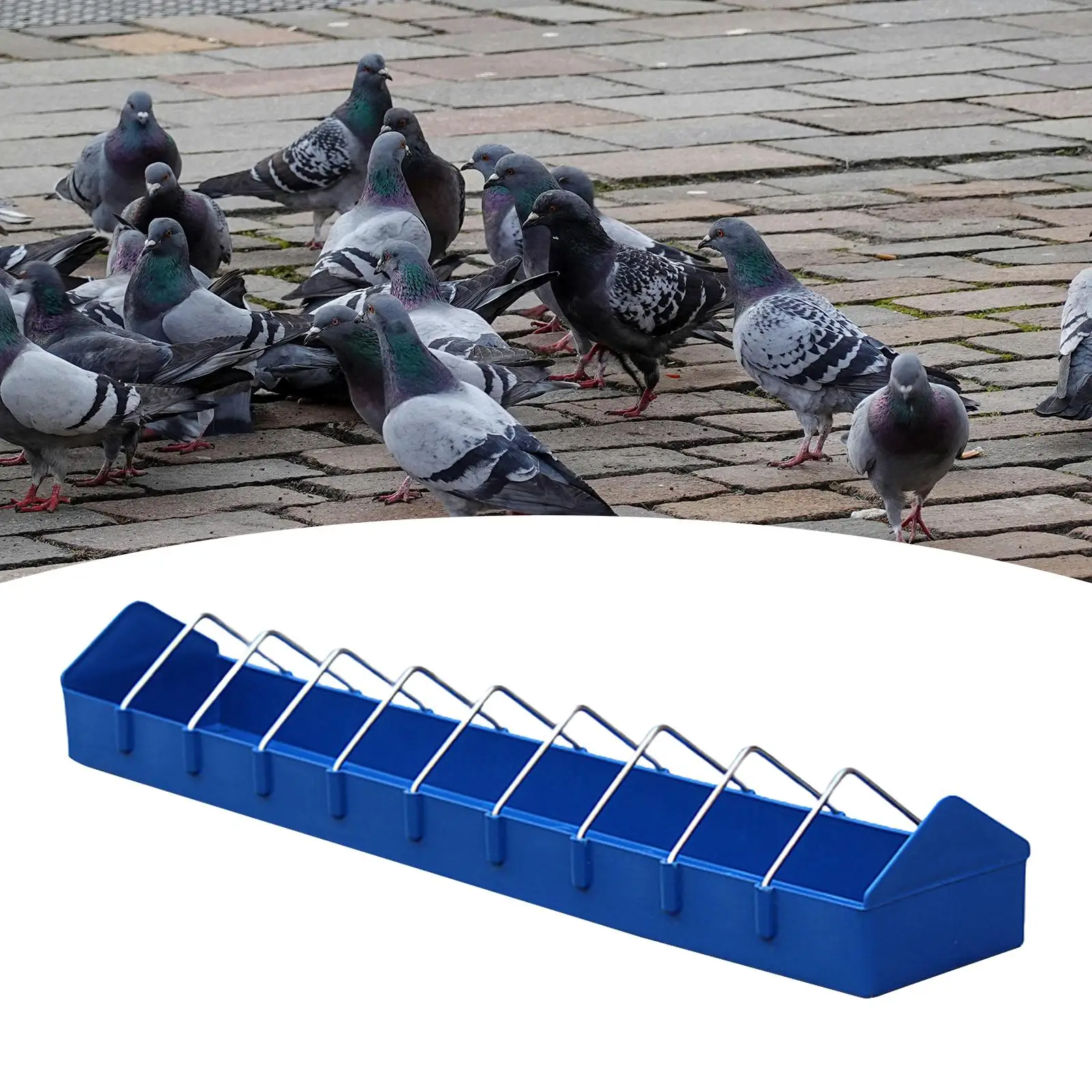 Pigeon Feeder Bird Feeder feed Supplies Food Dispenser Chicken Feeder Feeding Trough for Garden Backyard Birdhouses Turkeys Pigeon Feeder Bird Feeder feed Supplies Food Dispenser Chicken Feeder Feeding Trough for Garden Backyard Birdhouses Turkeys