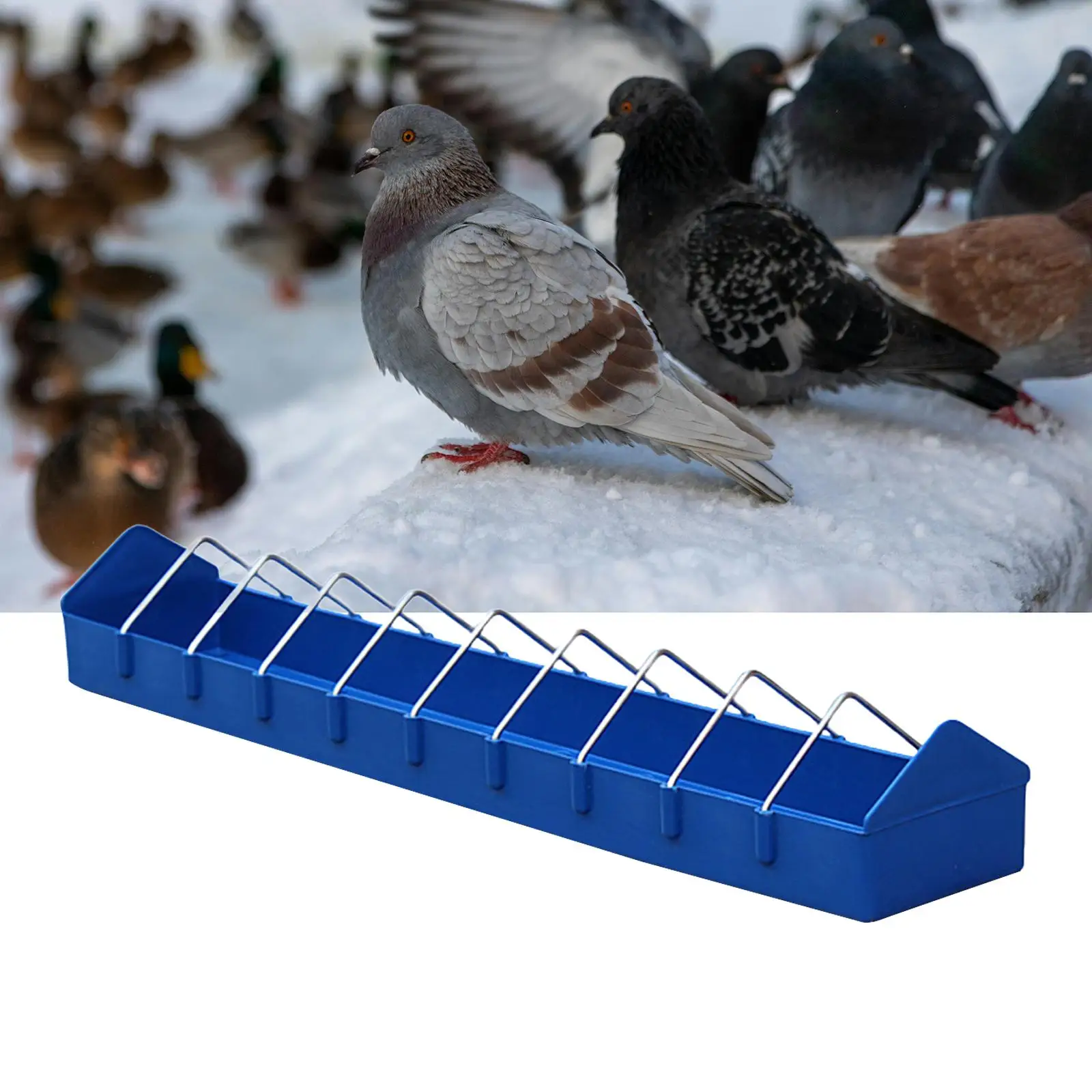Pigeon Feeder Bird Feeder feed Supplies Food Dispenser Chicken Feeder Feeding Trough for Garden Backyard Birdhouses Turkeys Pigeon Feeder Bird Feeder feed Supplies Food Dispenser Chicken Feeder Feeding Trough for Garden Backyard Birdhouses Turkeys