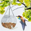 Round Acrylic Bird Feeder Courtyard Hanging And Bird Feeder With Suction Cup PMMA Bird Feeder Decoration