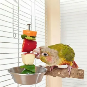 Stainless Steel Bird Fruit Fork & Vegetable Feeding Hook, Fruit Holder and Anti-Spill Food Bowl, Bird Cage Accessory for Parrots