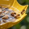 Umbrella-Shaped Hanging Bird Bath Weather-Resistant Decorative Bird Feeder Tray Bee Watering Station for Wild Bird