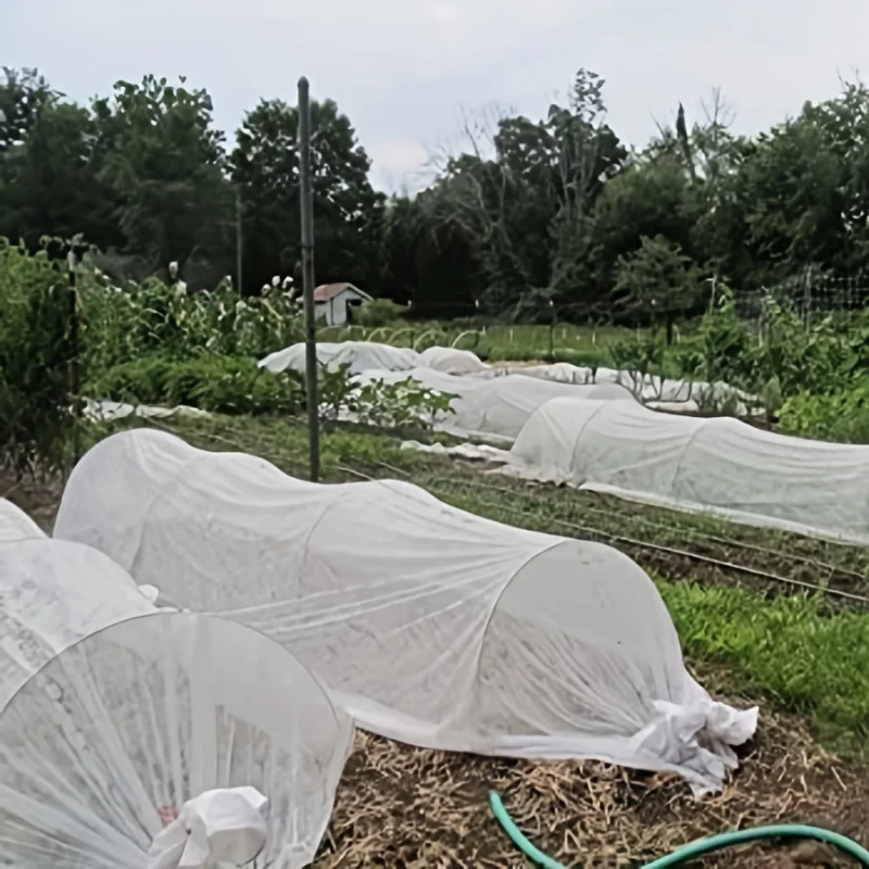 160CMX1000CMNon-Woven Fabric Plant Cold Protection Cover Gardening Floating Cover Cloth Vegetable Fruit Tree Frost Protection In - Image 4