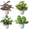 1PC Artificial Foliage Plant Pot Bonsai Party Mall Home Desktop Office Decor Small Bonsai Fake Flower Potted Home Decorations