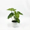 20cm/7.87inch Small Artificial Potted Plant, 1Pc Fake Desktop Plants, Leaf Plants, No Watering, For Home, Office Table Decor