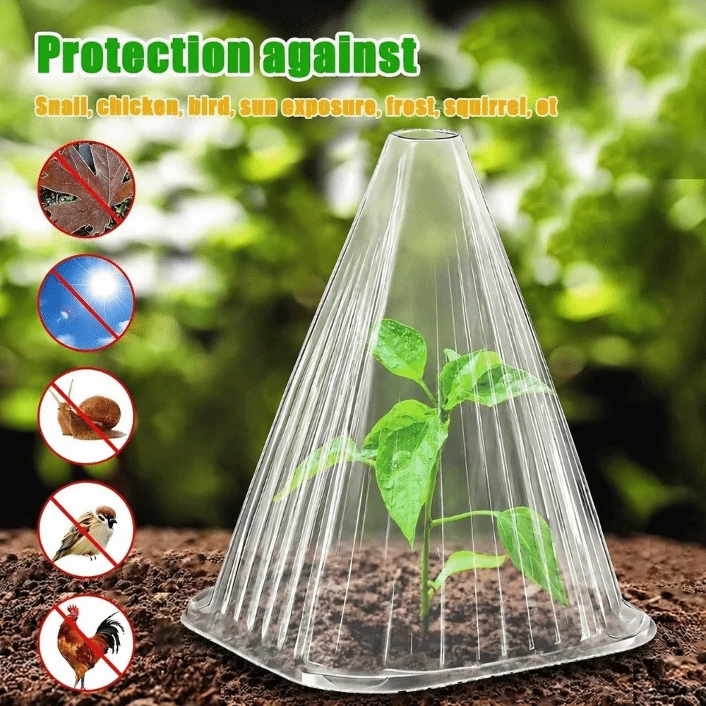 50pcs Transparent Plant Seedling Cloche Insulated Plastic Plant Bell Covers Bird Proof Antifreeze Growth Box Protecting Plants - Image 4