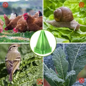 50pcs Transparent Plant Seedling Cloche Insulated Plastic Plant Bell Covers Bird Proof Antifreeze Growth Box Protecting Plants