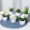 6PCS, Artificial Plants Small Bonsai, DIY Crafts desktop Windowsill Display Rack Display Decoration