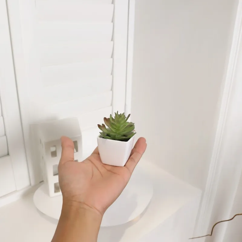6PCS Home Decoration, Mini Evergreen Artificial Succulent Small Potted Plants - Image 5