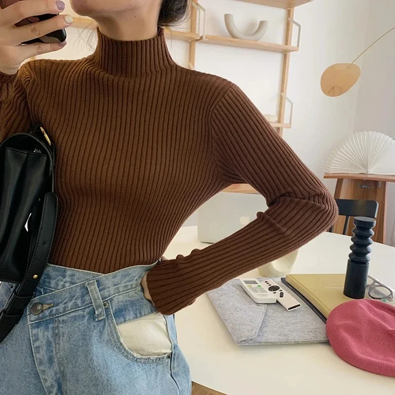 AOSSVIAO 2026 Chic Autumn Winter Sweater Women Pullovers Long Sleeve Casual Turtleneck Warm Basic Sweater Knit Jumpers Top - Image 5