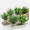Artificial Plant Potted Eucalyptus Plant Small Fake Flower Bonsai With Pot Mini Plant Desktop Office Home Restaurant Decoration