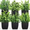 Artificial Plants Potted Green Bonsai Small Tree Grass Plants Office Farmhouse Bathroom Table Home Garden Decor Wedding Party