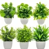 Artificial Plants with Plastics Pots Perfect Greenery for Home DecorationsOffice Desk Living Room and Bedroom Decoration