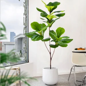 Artificial Violin Ficus Leaves Nordic Style Potted Plants Artificial Trees Landscaping Home Decoration