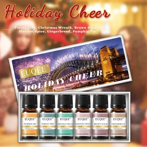 EUQEE 6 Bottles Fragrance Oils Set Christmas Gift Box Forest Pine Gingerbread Brown Sugar Pumpkin Pie Scent