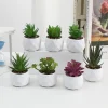Evergreen Artificial Succulent Simulation Plastic Fake Plants Small Potted Plants Cactus Succulents Bonsai Home