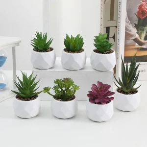 Evergreen Artificial Succulent Simulation Plastic Fake Plants Small Potted Plants Cactus Succulents Bonsai Home