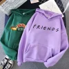 Friends TV Show Hoodies for Women, Funny Cartoon Friends Hoodies, Ullzang Graphic, Vintage Anime Sweatshirt, Female Hoody, 90s