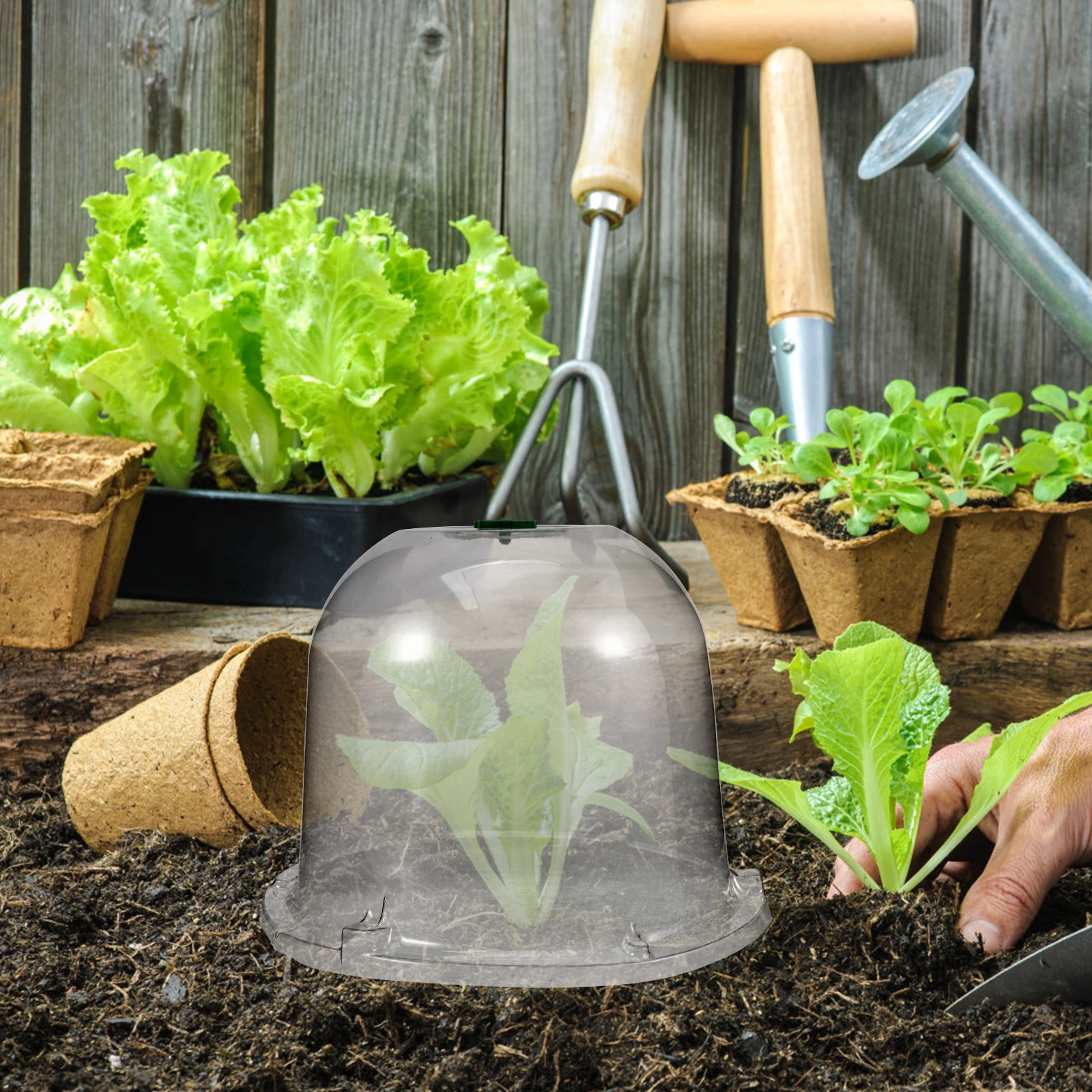 Garden Cloche Dome Plastic Plant Cover for Vegetable Garden with Ventilation Transparent Design Frost for Plants - Image 3
