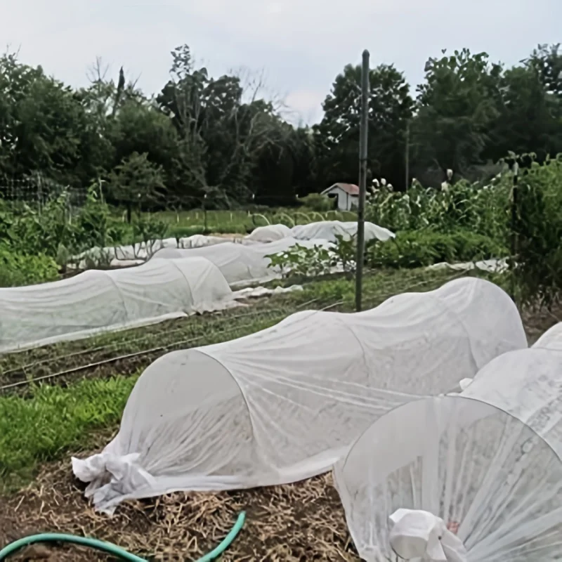 Plant Cover Anti Freezing, Garden Floating Row Cover Non-Woven Fabric, Used for Anti Freezing Protection of Vegetables, Fruit Tr - Image 6